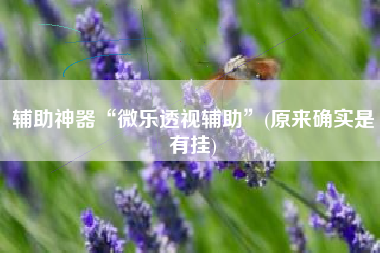 辅助神器“微乐透视辅助”(原来确实是有挂)