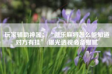 玩家辅助神器：“微乐麻将怎么能知道对方有挂”(曝光透视必备猫腻