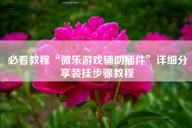 必看教程“微乐游戏辅助插件”详细分享装挂步骤教程