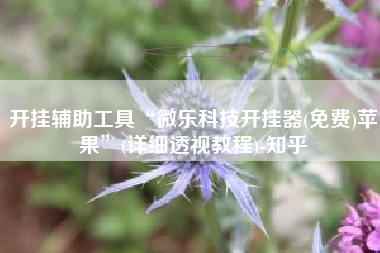 开挂辅助工具“微乐科技开挂器(免费)苹果	”(详细透视教程)-知乎