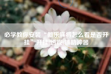 必学教你安装“微乐麻将怎么看是否开挂”开挂(透视)辅助神器