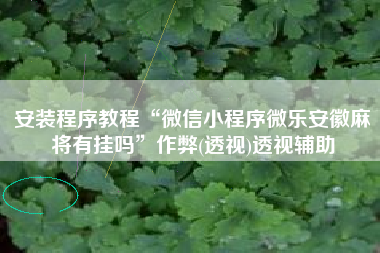 安装程序教程“微信小程序微乐安徽麻将有挂吗”作弊(透视)透视辅助