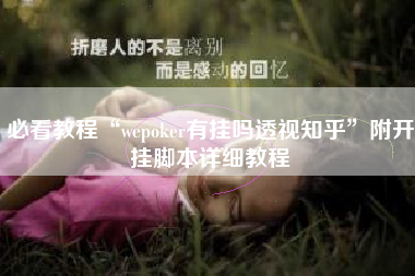 必看教程“wepoker有挂吗透视知乎”附开挂脚本详细教程