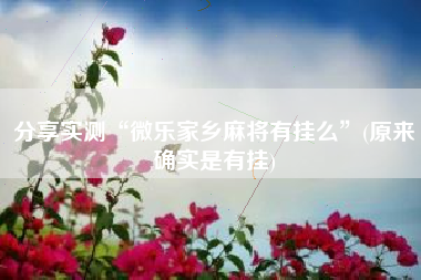 分享实测“微乐家乡麻将有挂么	”(原来确实是有挂)