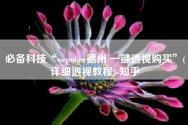 必备科技“wepoker德州 一键透视购买”(详细透视教程)-知乎