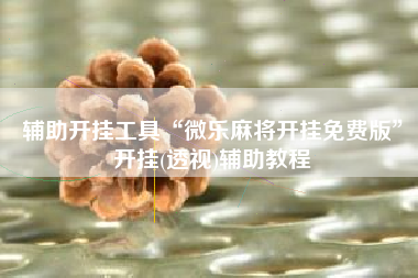 辅助开挂工具“微乐麻将开挂免费版	”开挂(透视)辅助教程