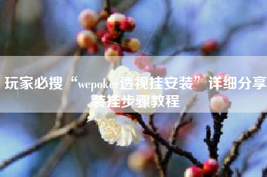 玩家必搜“wepoker透视挂安装	”详细分享装挂步骤教程