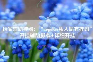 玩家辅助神器：“wepoKer私人局有挂吗”开挂辅助脚本+详细开挂