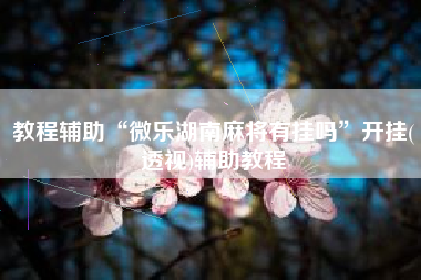 教程辅助“微乐湖南麻将有挂吗”开挂(透视)辅助教程