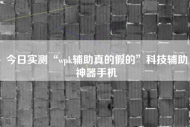 今日实测“wpk辅助真的假的”科技辅助神器手机