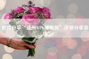 软件分享“德州WPK辅助器”详细分享装挂