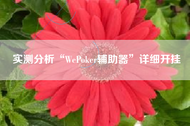 实测分析“WePoker辅助器	”详细开挂