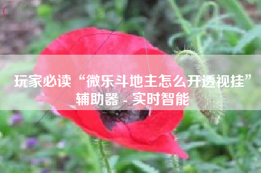 玩家必读“微乐斗地主怎么开透视挂”辅助器 - 实时智能