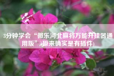 3分钟学会“微乐河北麻将万能开挂器通用版”(原来确实是有插件)