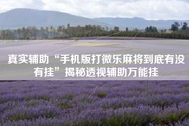 真实辅助“手机版打微乐麻将到底有没有挂	”揭秘透视辅助万能挂