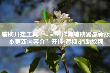 辅助开挂工具“wepoker作弊辅助器最新版本更新内容介”开挂(透视)辅助教程