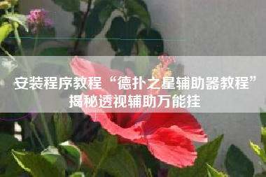 安装程序教程“德扑之星辅助器教程”揭秘透视辅助万能挂