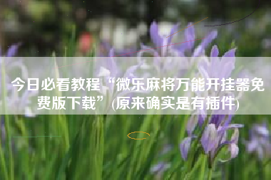 今日必看教程“微乐麻将万能开挂器免费版下载”(原来确实是有插件)