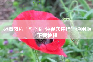 必看教程“WePoKer透视软件挂”通用版下载教程