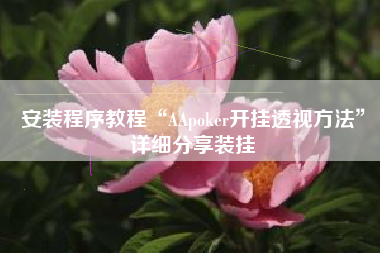 安装程序教程“AApoker开挂透视方法”详细分享装挂
