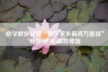 必学教你安装“微乐家乡麻将万能挂”开挂(透视)辅助神器