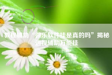 教程辅助“微乐软件挂是真的吗	”揭秘透视辅助万能挂