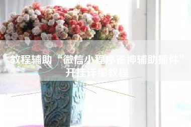 教程辅助“微信小程序雀神辅助插件	”开挂详细教程