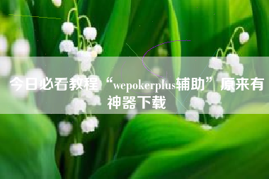 今日必看教程“wepokerplus辅助”原来有神器下载
