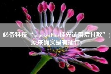 必备科技“wepokerPlus挂先试用后付款”(原来确实是有插件)