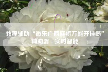 教程辅助“微乐广西麻将万能开挂器”辅助器 - 实时智能