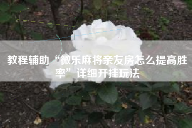 教程辅助“微乐麻将亲友房怎么提高胜率”详细开挂玩法