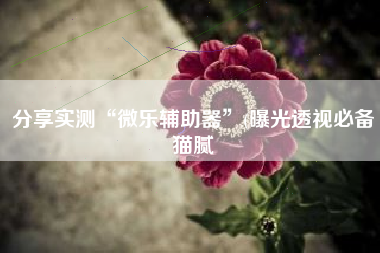 分享实测“微乐辅助器	”(曝光透视必备猫腻