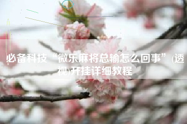 必备科技“微乐麻将总输怎么回事	”(透视)开挂详细教程