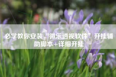 必学教你安装“微乐透视软件”开挂辅助脚本+详细开挂