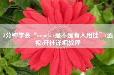 3分钟学会“wepoker是不是有人用挂	”(透视)开挂详细教程