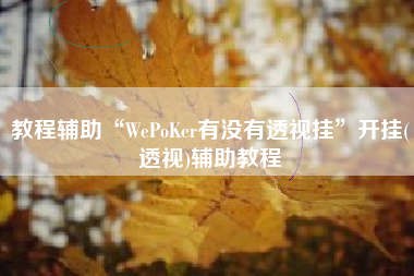 教程辅助“WePoKer有没有透视挂”开挂(透视)辅助教程