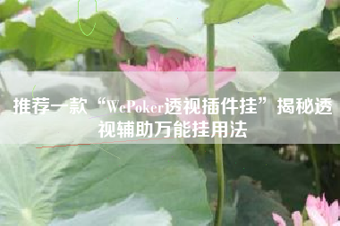 推荐一款“WePoker透视插件挂	”揭秘透视辅助万能挂用法