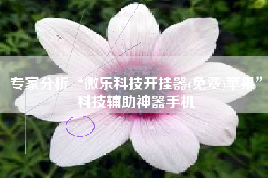 专家分析“微乐科技开挂器(免费)苹果	”科技辅助神器手机