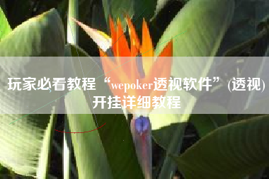 玩家必看教程“wepoker透视软件”(透视)开挂详细教程