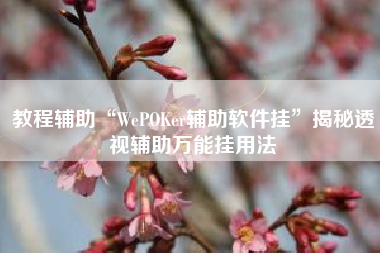 教程辅助“WePOKer辅助软件挂”揭秘透视辅助万能挂用法