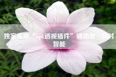 独家实测“wpk透视插件	”辅助器 - 实时智能
