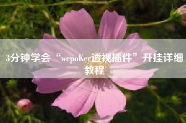3分钟学会“wepoKer透视插件	”开挂详细教程