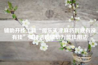 辅助开挂工具“微乐天津麻将到底有没有挂	”揭秘透视辅助万能挂用法