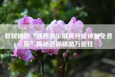 教程辅助“陕西微乐麻将开挂神器免费版”揭秘透视辅助万能挂