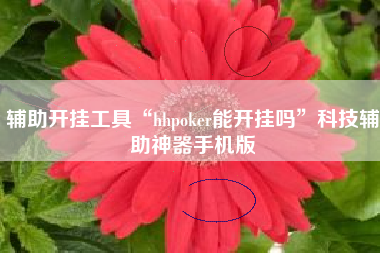 辅助开挂工具“hhpoker能开挂吗”科技辅助神器手机版