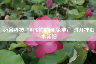 必备科技“WPK辅助器(免费)	”附开挂脚本详细