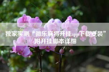 独家实测“微乐麻将开挂app下载安装	”附开挂脚本详细