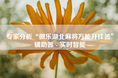 专家分析“微乐湖北麻将万能开挂器”辅助器 - 实时智能