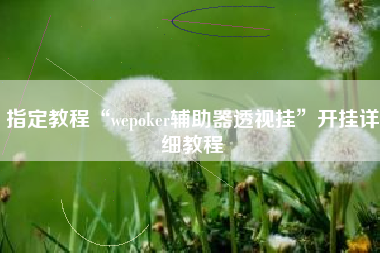 指定教程“wepoker辅助器透视挂”开挂详细教程