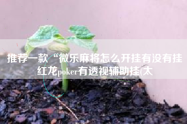 推荐一款“微乐麻将怎么开挂有没有挂红龙poker有透视辅助挂(太